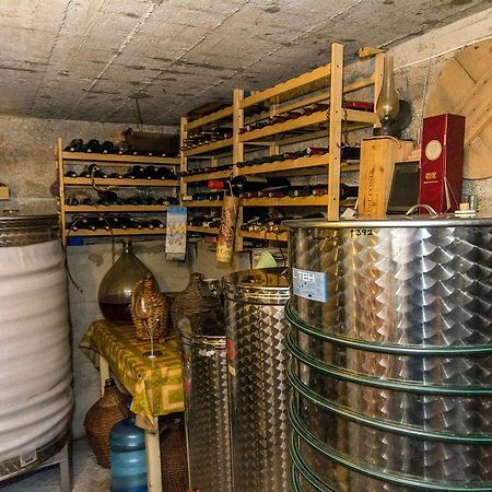 Apartment Bilic Zadar Zewnętrze zdjęcie